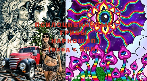 крисы Кинешма